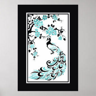 Black, turquoise peacock and cherry blossoms poster