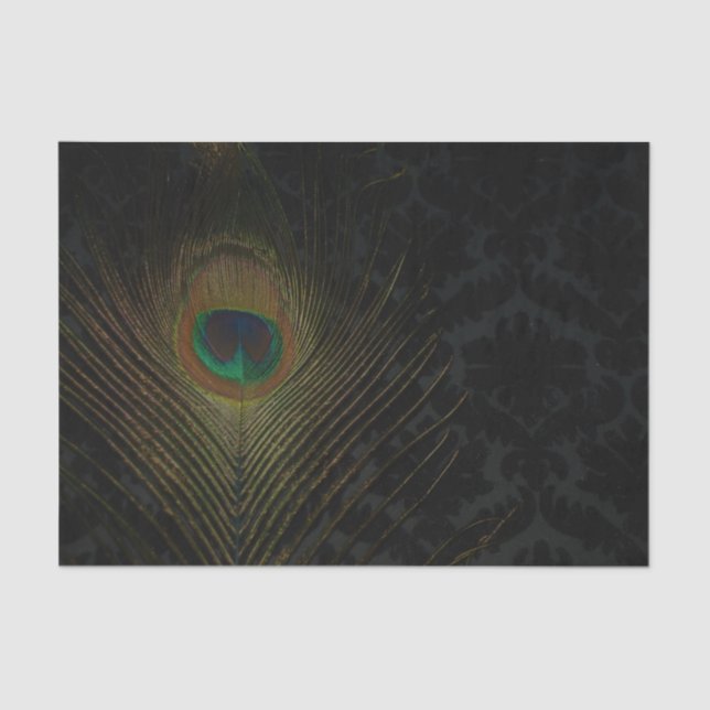 Black Victorian Wallpaper and Peacock Tissue Paper (Front)