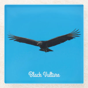 Black Vulture Glass Coaster