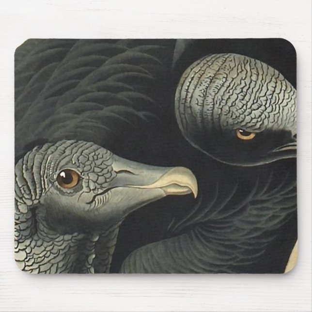 Black Vultures, John James Audubon Mouse Pad (Front)