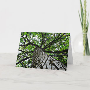 Black Walnut Trunk and Branches Card