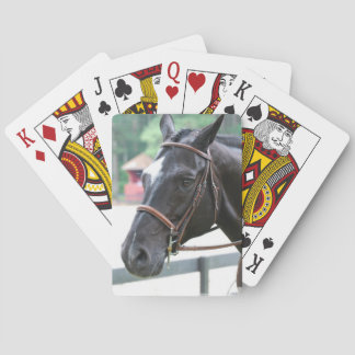 Black Warmblood Deck of Cards 