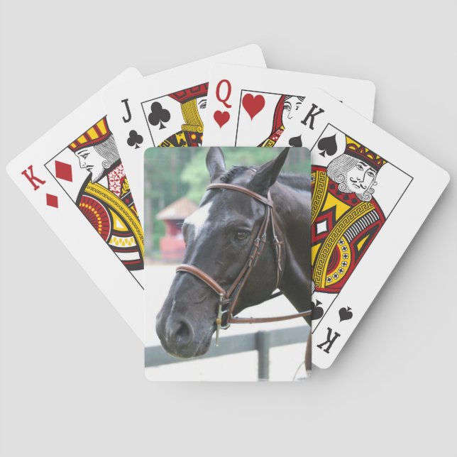Black Warmblood Deck of Cards  (Back)