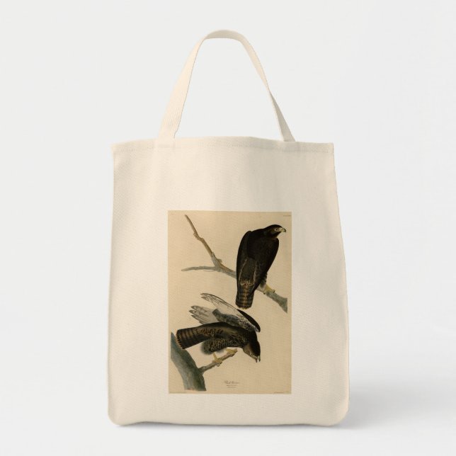 Black Warrior (Red-tailed Hawk) from Audubon Birds Tote Bag (Front)