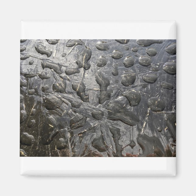 Black Water Magnet (Front)