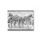 Black White African Zebra Grouping Wrapped Canvas