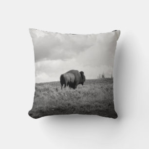 Black & White American Bison Standing in a Field Cushion