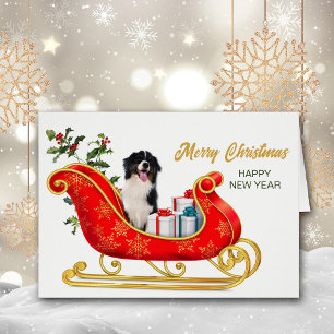 Black White Australian Shepherd Christmas Sleigh