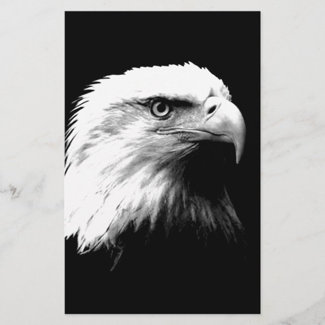 Black & White Bald Eagle (Front)