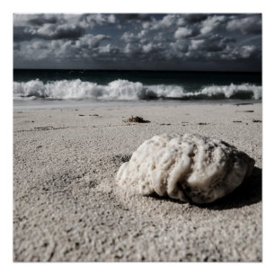 Black&White Beach Poster