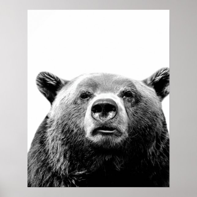 Black white bear woodland animal peekaboo photo poster (Front)