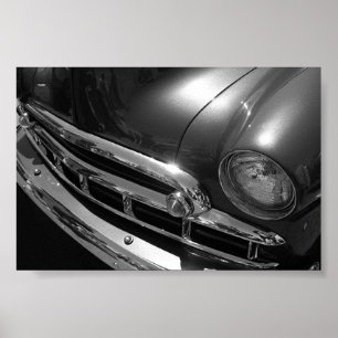 Black & White Beauty Poster