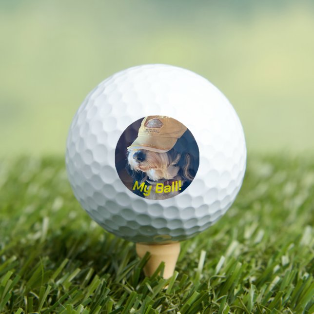 Black & white Bernedoodle dog in yellow golf hat. Balls (Insitu Tee)