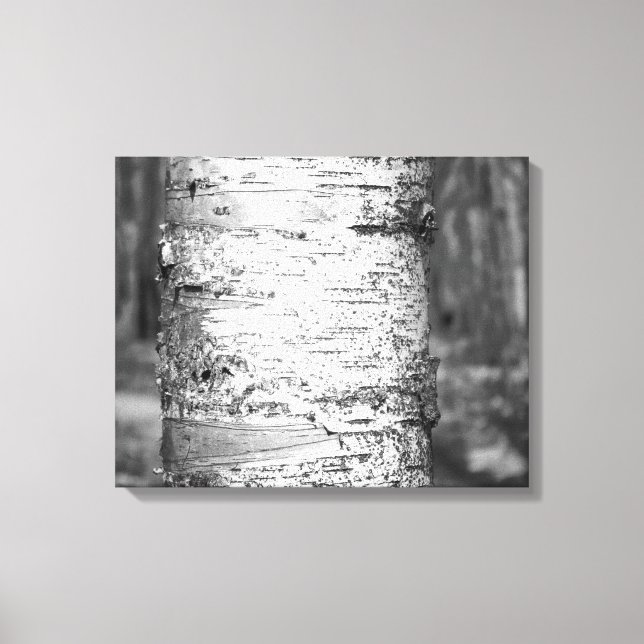 Black & White Birch Tree Trunk Birch Bark 16x20 Canvas Print (Front)