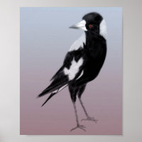 Black white bird art magpie bird