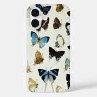 BLACK WHITE BLUE BUTTERFLIES Beauty Nature Lover