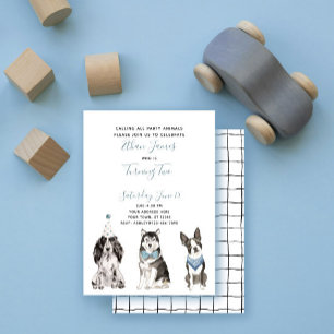 Black White Blue Dog Boy's 2nd Birthday Party Invitation