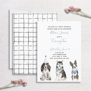 Black White Blue Dog Boy's 2nd Birthday Party Invitation