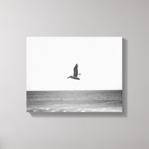 Black & White Brown Pelican Flying Over the Ocean Canvas Print