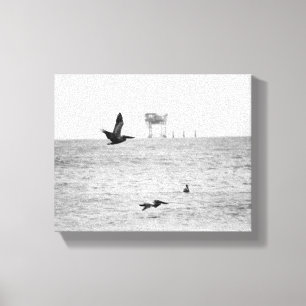 Black & White Brown Pelicans Over the Ocean 8x10 Canvas Print