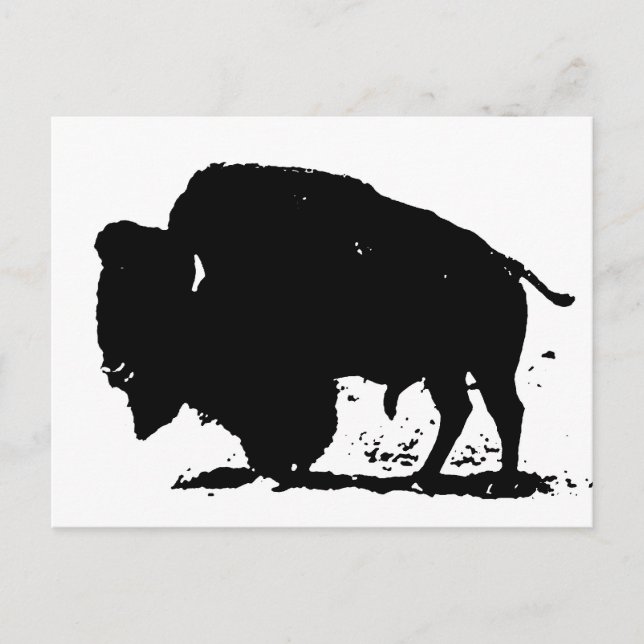 Black & White Buffalo Silhouette Postcard (Front)