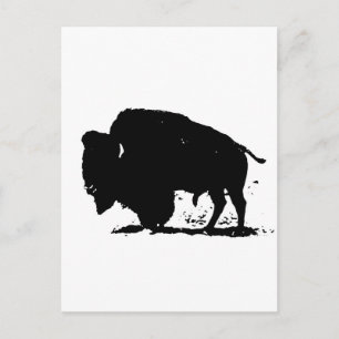 Black & White Buffalo Silhouette Postcard
