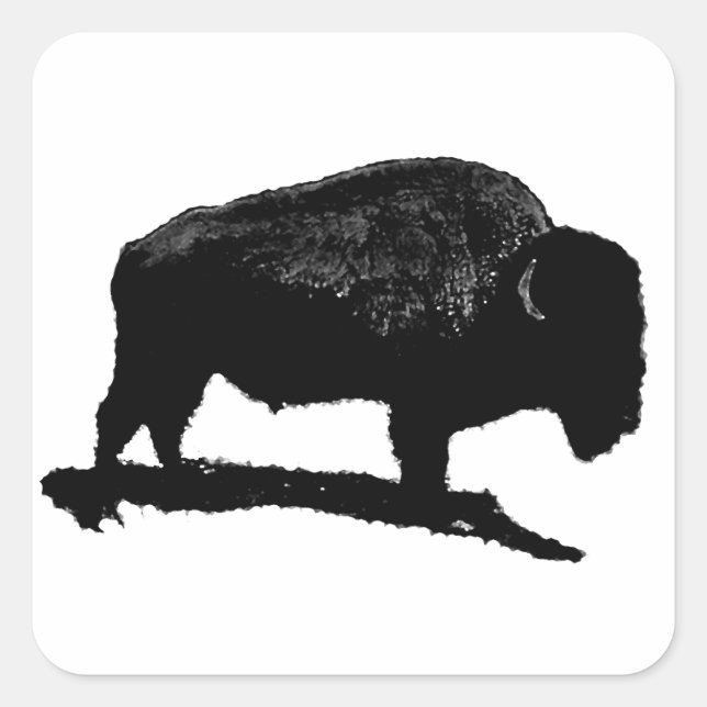 Black & White Buffalo Square Sticker (Front)