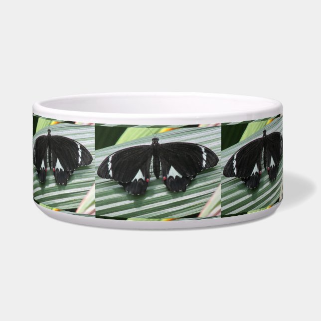 Black & White Butterfly Ceramic Pet Bowl (Front)