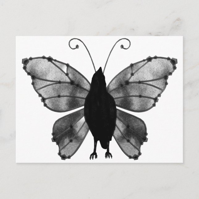 Black & White Butterfly Raven Postcard (Front)