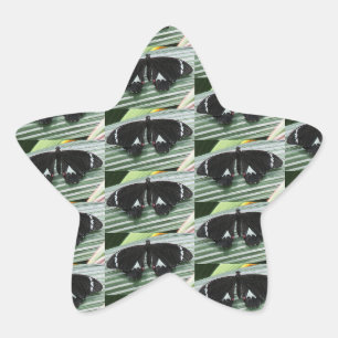 Black & White Butterfly Star Sticker