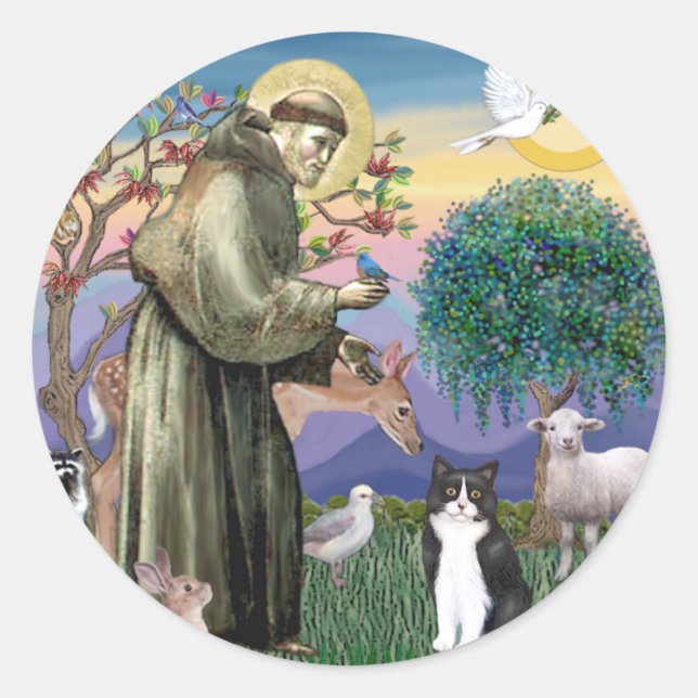 Black & White Cat - Saint Francis Classic Round Sticker (Front)