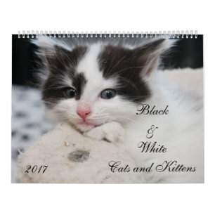 BLACK & WHITE CATS & KITTENS CALENDAR