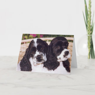Black & White Cocker puppy card