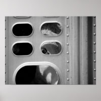 Black & White Cow Looking Through a Truck 16x20