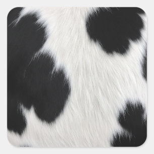 black white cow texture fur skin leather animal ha square sticker
