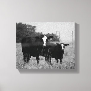 Black & White Cow with Her Calf 8x10 Canvas Print