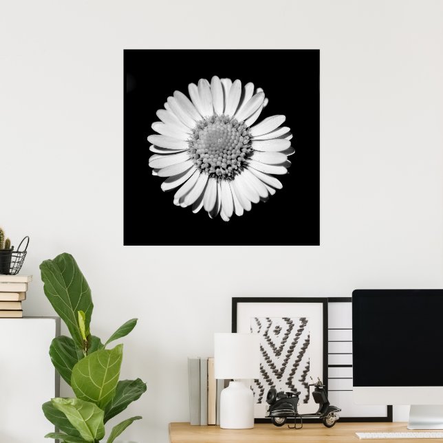 Black White Daisy Floral Art Botanical Photography Poster (Home Office)