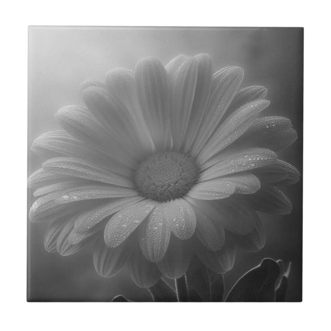 Black & White Daisy  Tile (Front)
