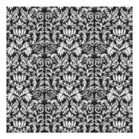 Black White Damask Lace Brocade