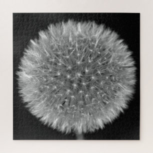 Black & White Dandelion Flower Seedhead Photo Jigsaw Puzzle