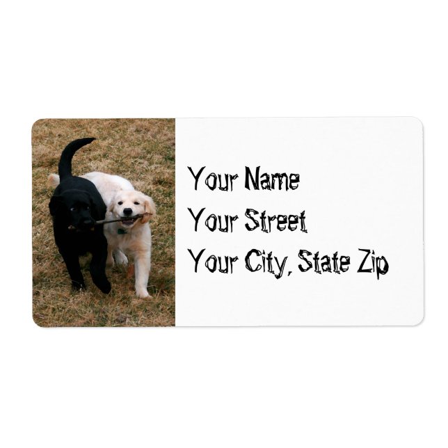 Black & white dogs with stick address label (Front)