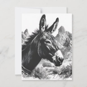 Black & White Donkey Portrait Southwestern Postcard