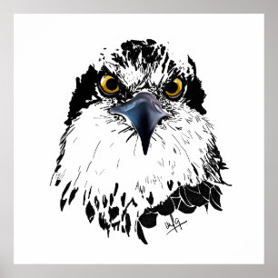 Black White Drawing of an Osprey "Kings of Birds" Poster