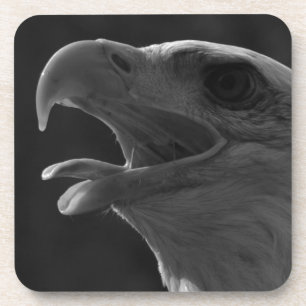 Black & White Eagle Coaster