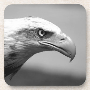 Black & White Eagle Eye Coaster