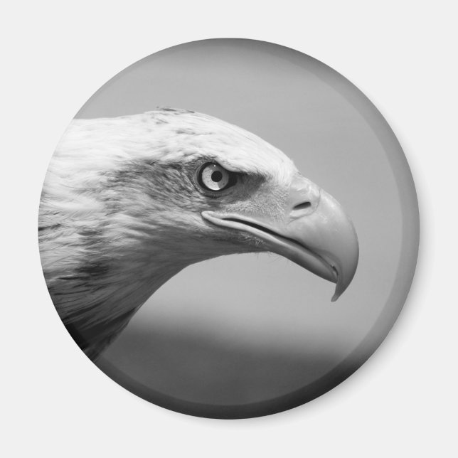 Black & White Eagle Eye Magnet (Front)