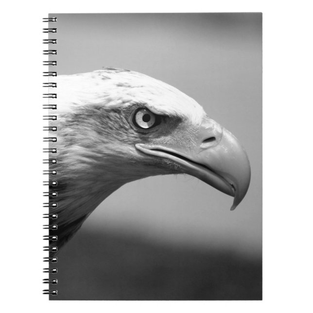 Black & White Eagle Eye Notebook (Front)