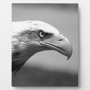 Black & White Eagle Eye Plaque