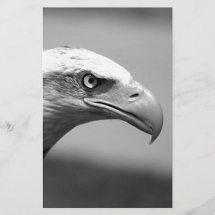 Black & White Eagle Eye Stationery