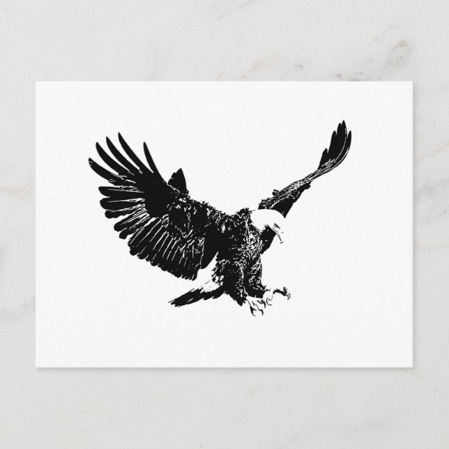 Black & White Eagle Postcard (Front)